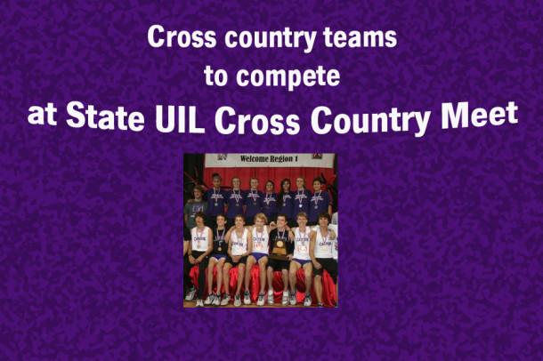 Cross country teams state bound