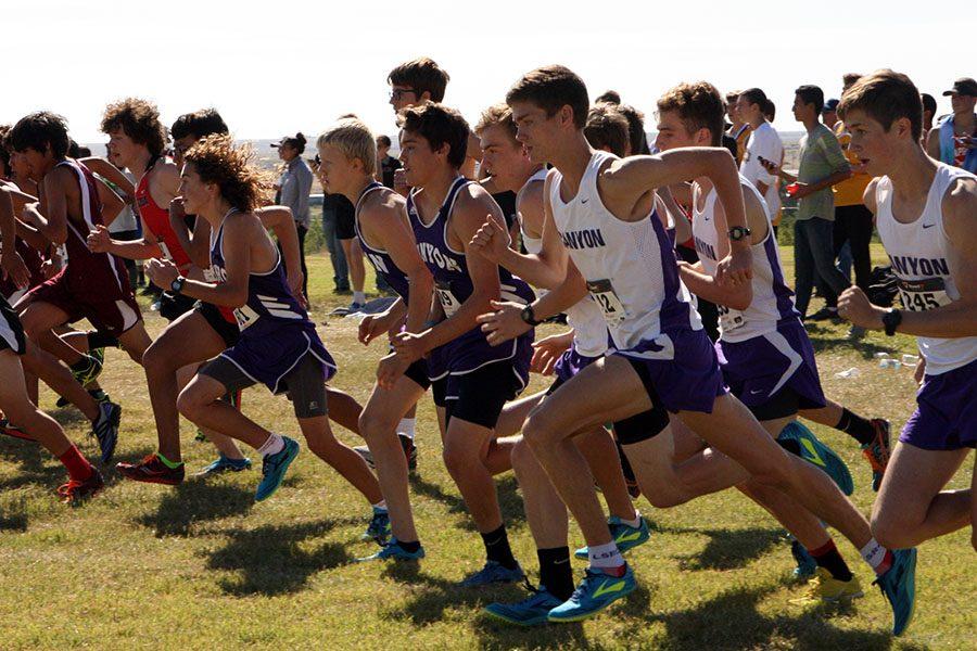The boys cross country team surges off the starting line in their meet Oct. 1. The varsity team will compete at the region meet Oct. 29.