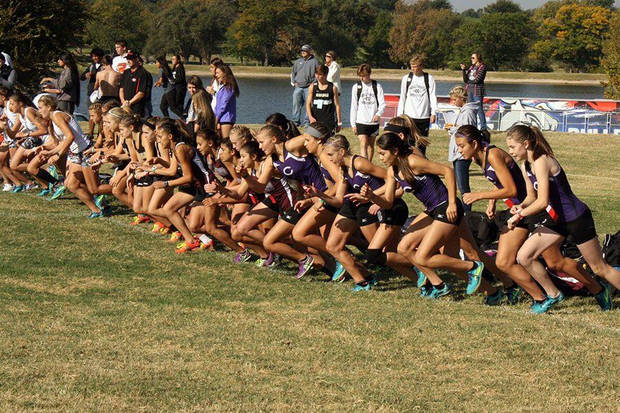 The+Varsity+Girls+Cross+Country+Team+runs+in+the+District+Cross+Country+Meet+at+Thompson+Park.