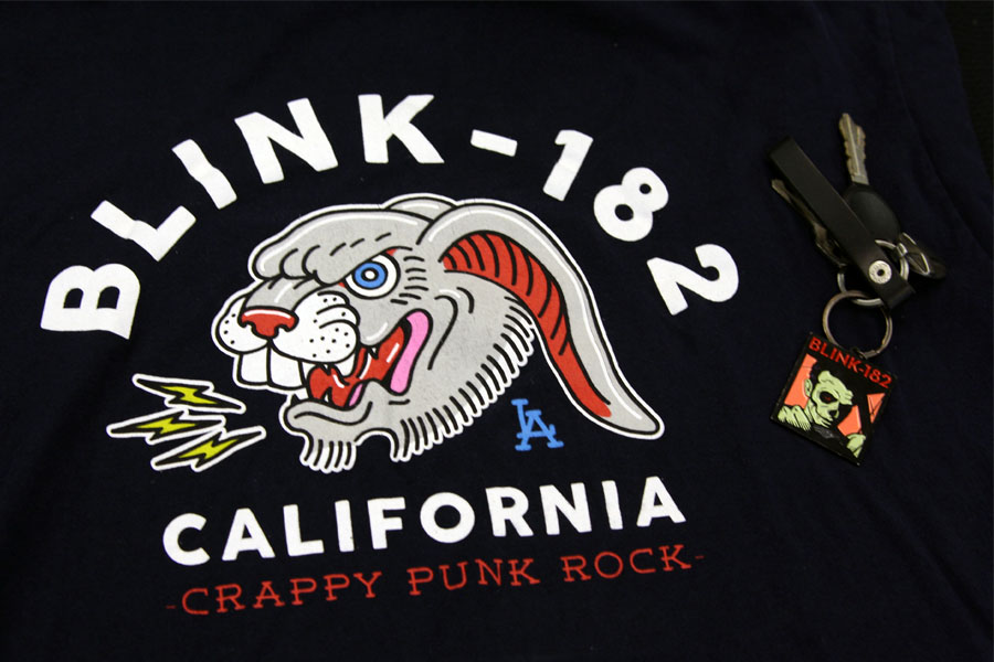 New blink-182 album captures California spirit