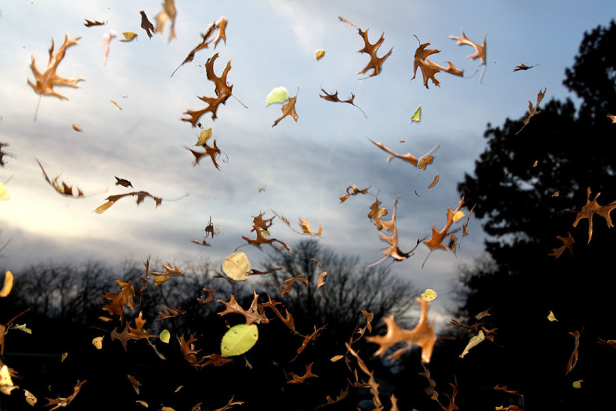 As the leaves fall, magic fills the air on Thanksgiving for the Douglass family.