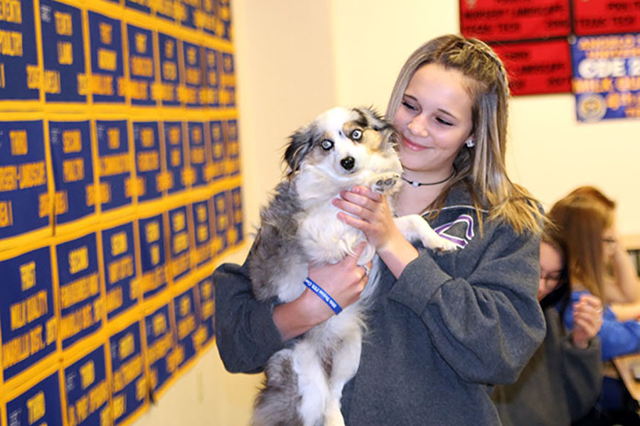 Sophomore Alissa Reeves cuddles with one of her canine classmates in veterinary medicine class.
