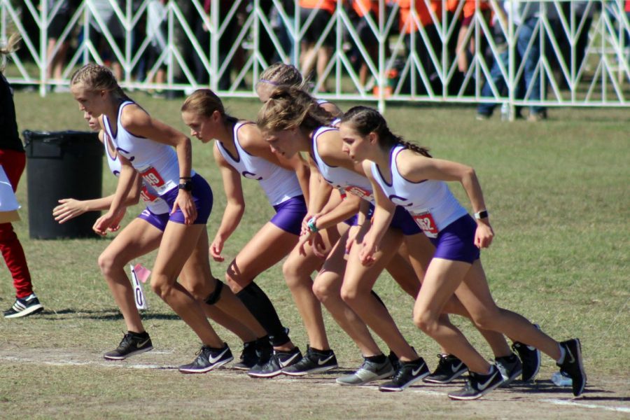 The girls cross country team finished first at the state meet. 