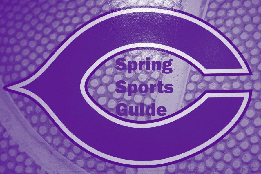 Spring Sports Guide