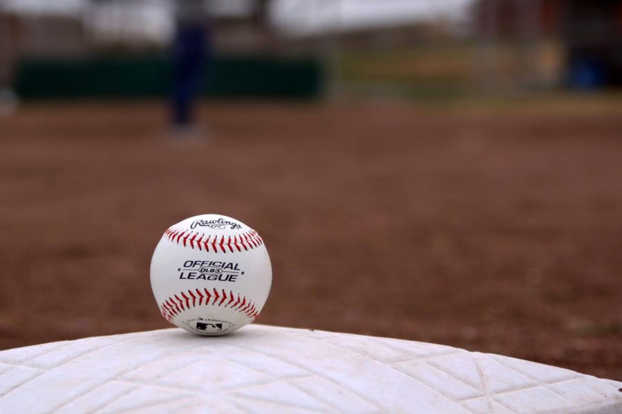 The Amarillo Sod Poodles won the 2019 Texas League Championship in their first season of play.