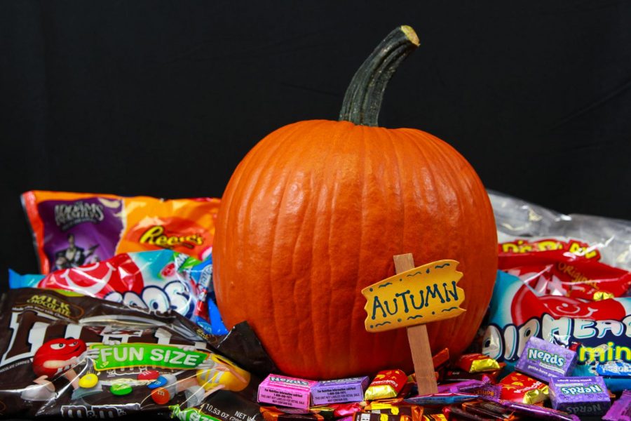 Students will give out candy as prizes throughout the event.