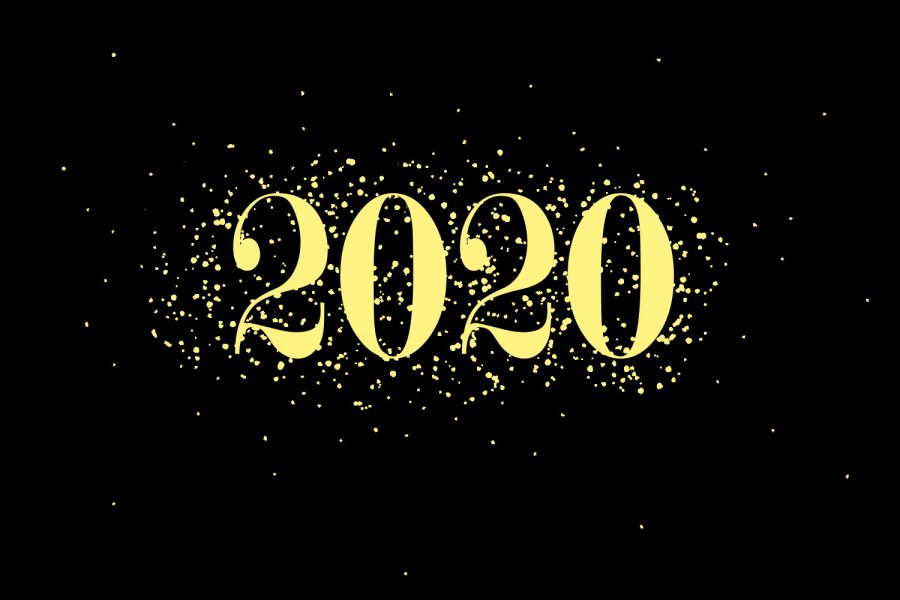 Because it is a leap year, 2020 will have 366 days.