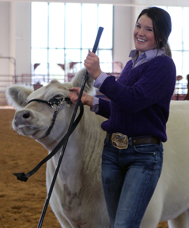 Bain, who won both Grand Champion Steer and Reserve Champion Steer, showcases her cow.
