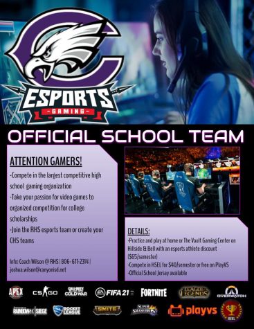 Super Smash Bros. Ultimate - High School Esports