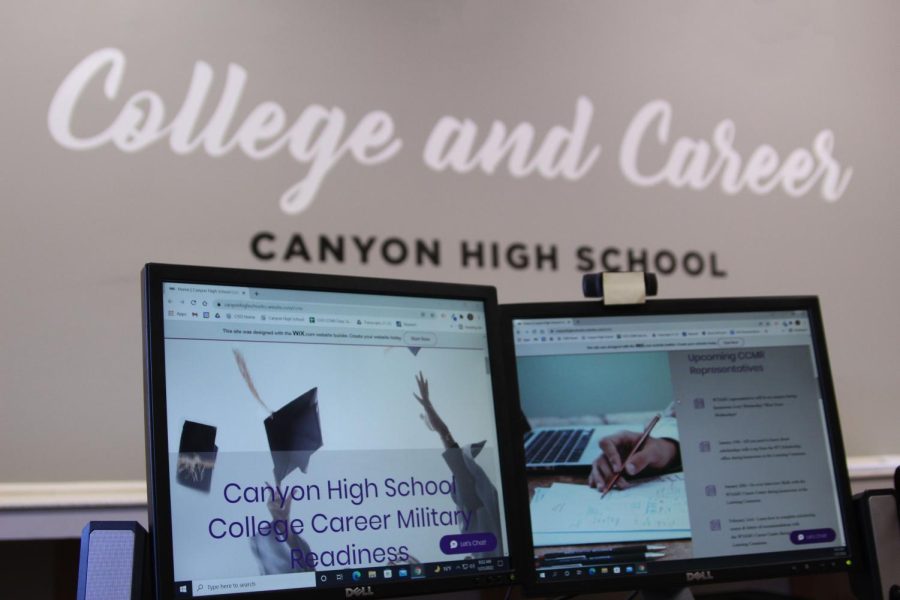College and Career counselor launches new website