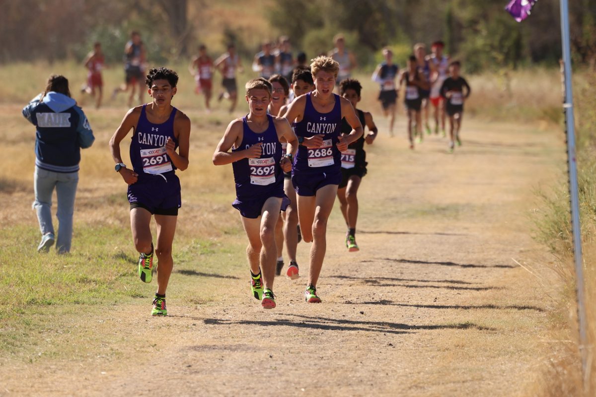 Canyon Eagle boys cross country will race into district, Oct. 11. 